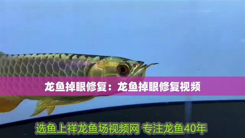 龍魚掉眼修復：龍魚掉眼修復視頻