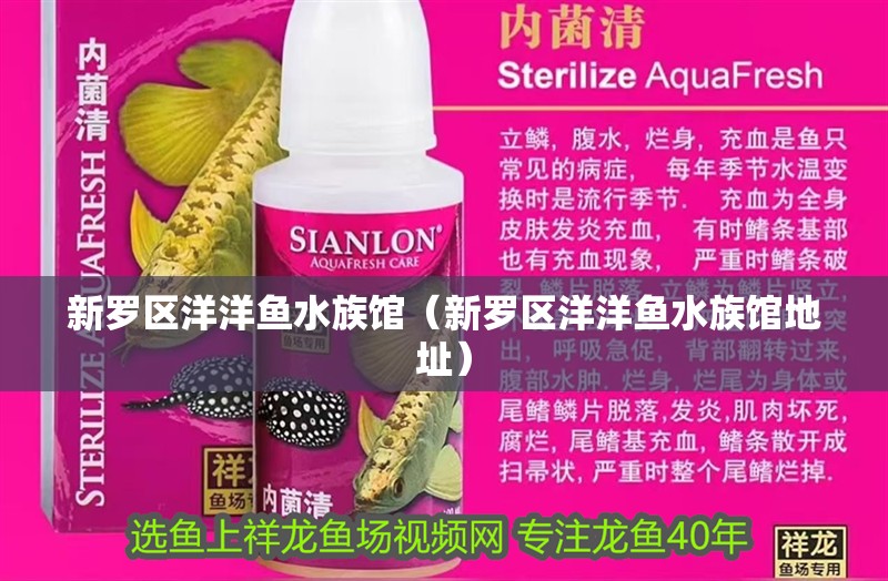 新羅區(qū)洋洋魚水族館（新羅區(qū)洋洋魚水族館地址）