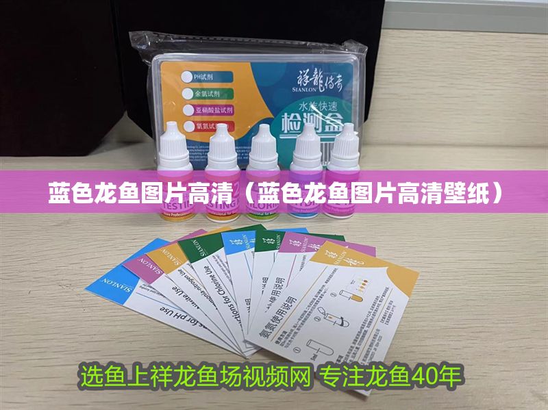 藍色龍魚圖片高清（藍色龍魚圖片高清壁紙）