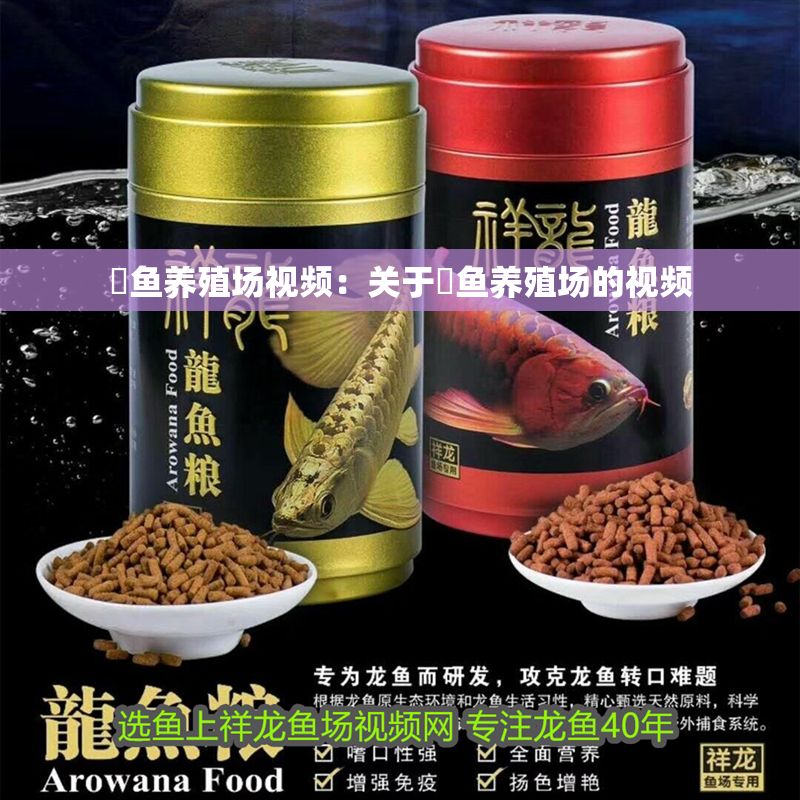 魟魚養殖場視頻：關于魟魚養殖場的視頻