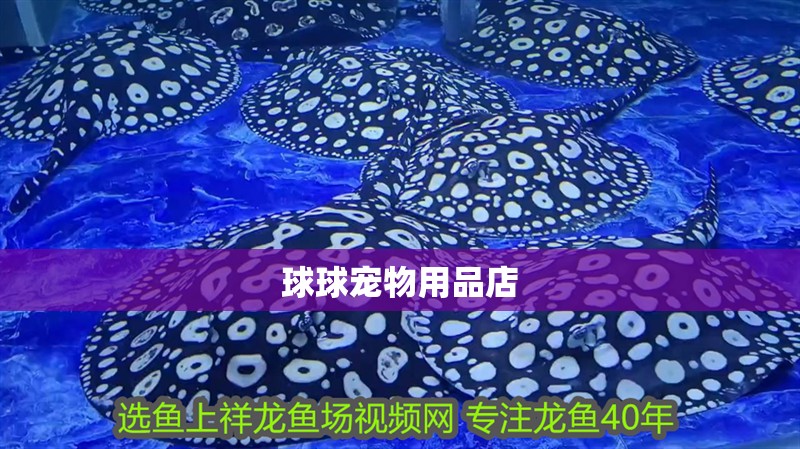 球球寵物用品店