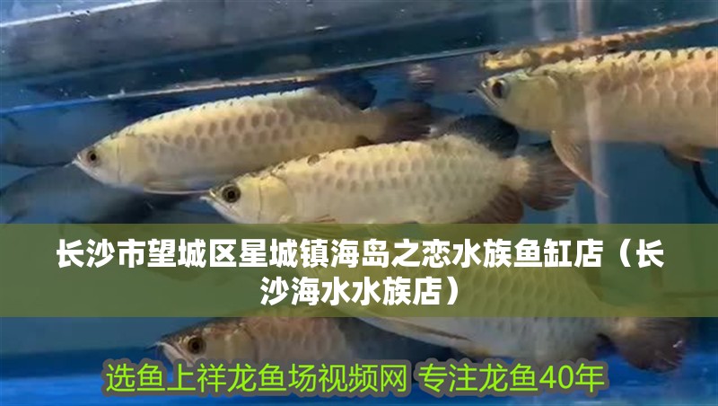 長沙市望城區星城鎮海島之戀水族魚缸店（長沙海水水族店）