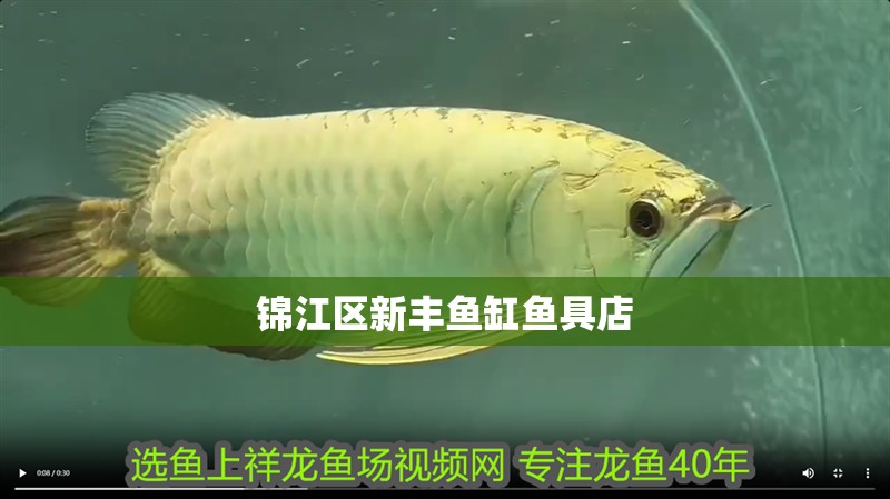 錦江區新豐魚缸魚具店 錦江區新豐魚缸魚具店 全國水族館企業名錄 第1張