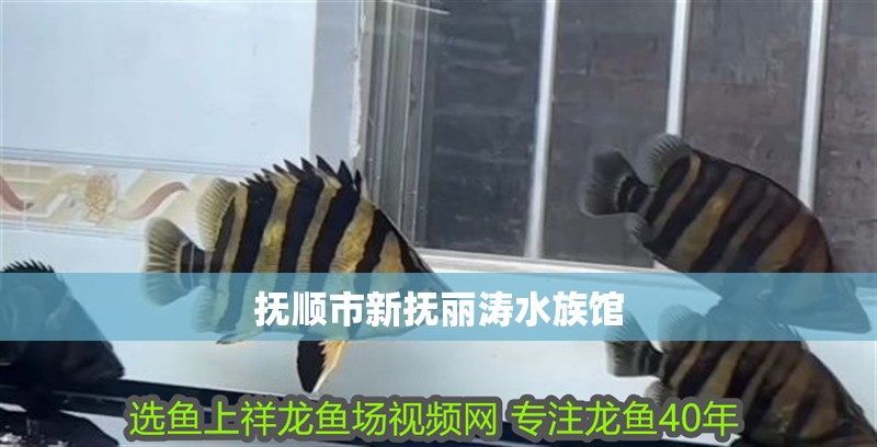 撫順市新撫麗濤水族館