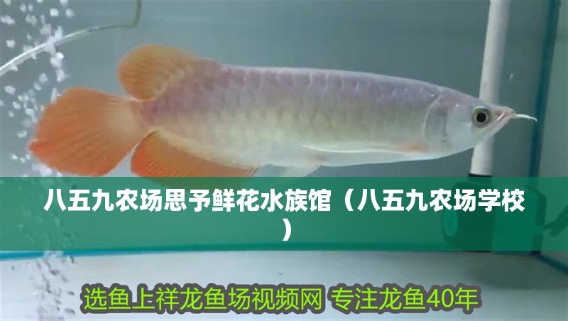 八五九農場思予鮮花水族館（八五九農場學校）