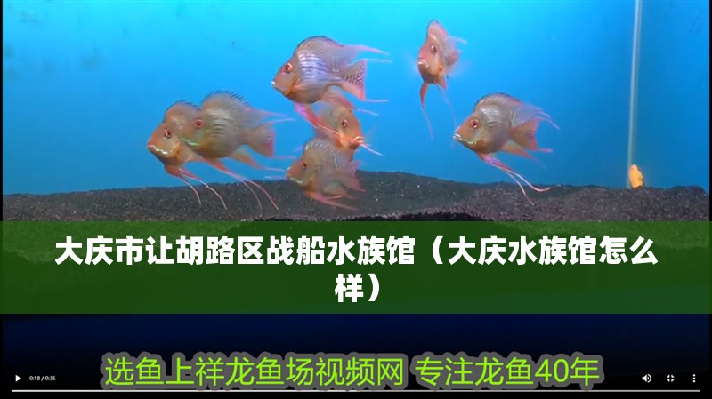 大慶市讓胡路區戰船水族館（大慶水族館怎么樣）