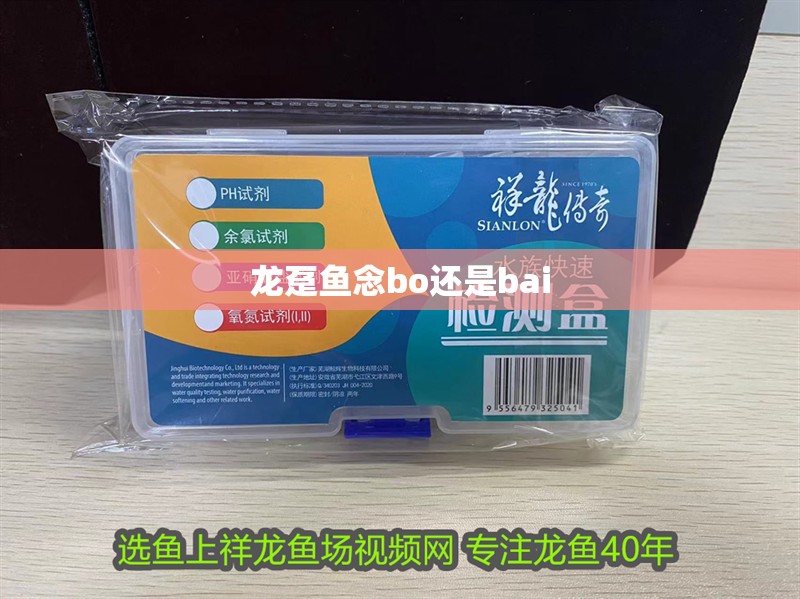 龍躉魚念bo還是bai