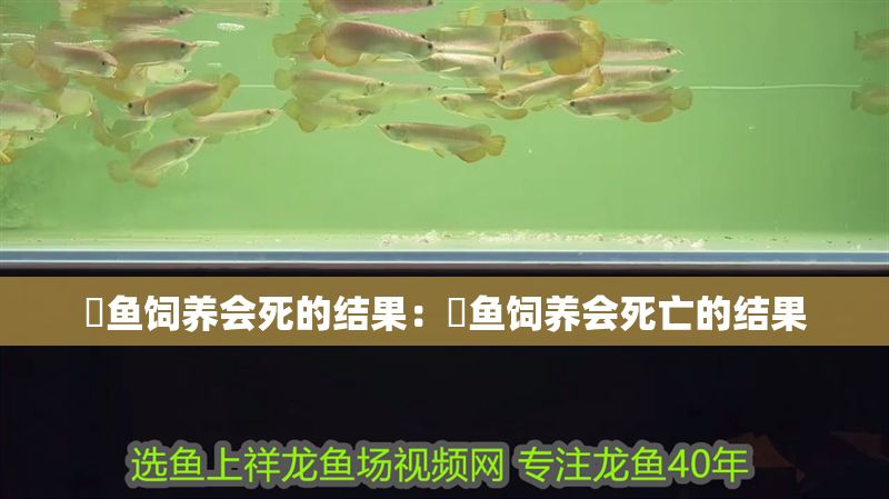 魟魚飼養(yǎng)會死的結(jié)果：魟魚飼養(yǎng)會死亡的結(jié)果