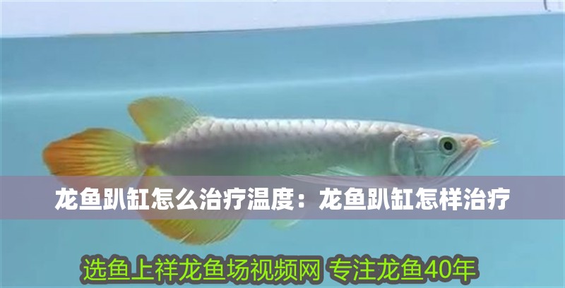 龍魚(yú)趴缸怎么治療溫度：龍魚(yú)趴缸怎樣治療