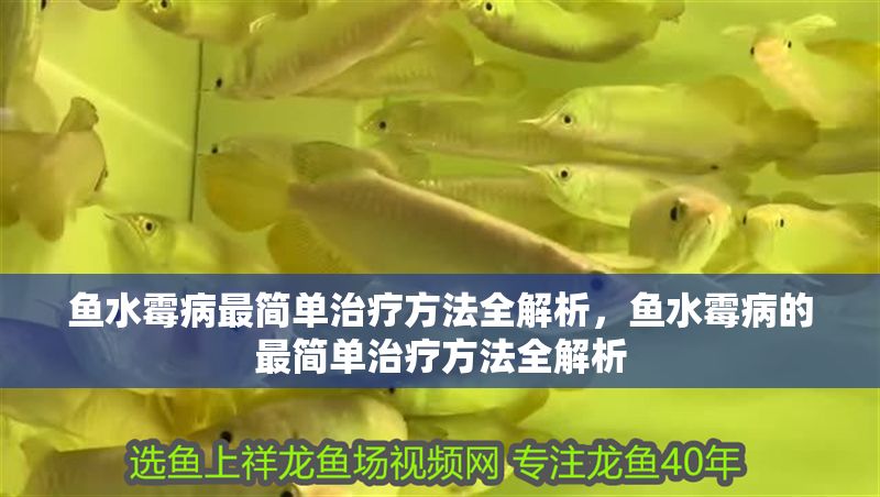 魚水霉病最簡單治療方法全解析,魚水霉病的最簡單治療方法全解析 龍魚常見疾病 第1張 魚水霉病最簡單治療方法全解析,魚水霉病的最簡單治療方法全解析 魚水霉病最簡單治療方法全解析,魚水霉病的最簡單治療方法全解析 龍魚常見疾病 第1張