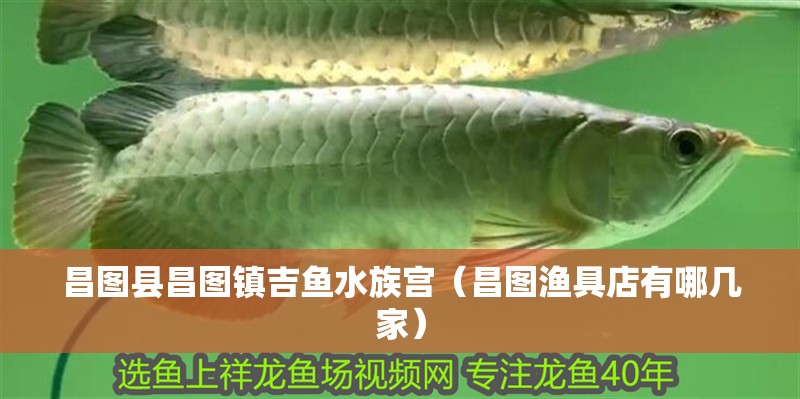 昌圖縣昌圖鎮(zhèn)吉魚水族宮（昌圖漁具店有哪幾家）