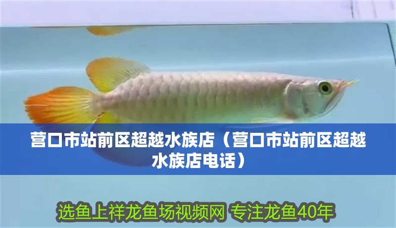 營(yíng)口市站前區(qū)超越水族店（營(yíng)口市站前區(qū)超越水族店電話(huà)） 營(yíng)口市站前區(qū)超越水族店（營(yíng)口市站前區(qū)超越水族店電話(huà)） 全國(guó)水族館企業(yè)名錄 第1張