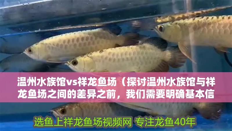 溫州水族館vs祥龍魚場（探討溫州水族館與祥龍魚場之間的差異之前，我們需要明確基本信息）