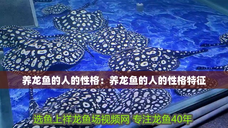 養龍魚的人的性格：養龍魚的人的性格特征