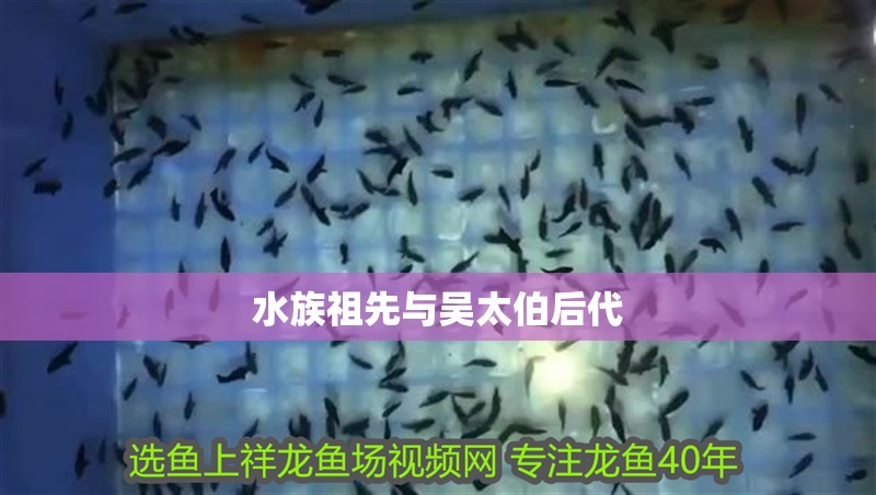 水族祖先與吳太伯后代