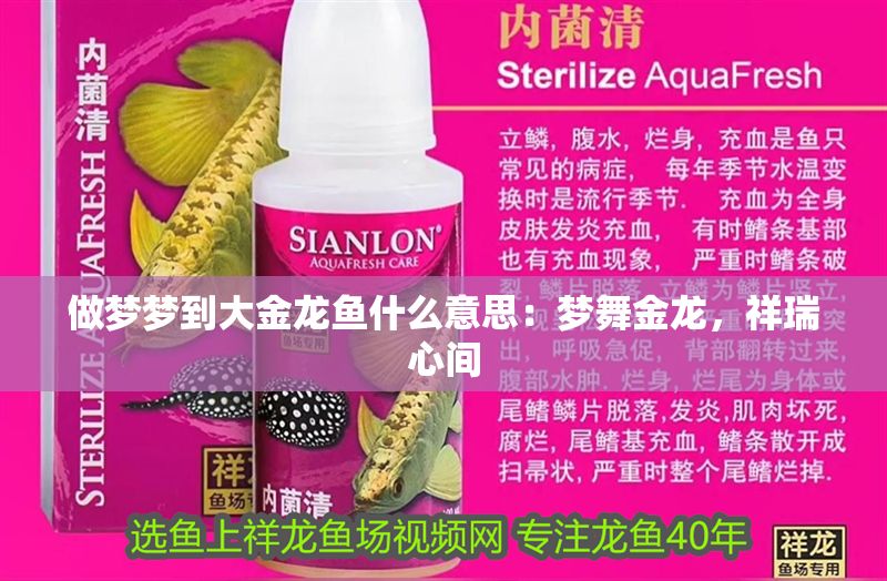 做夢夢到大金龍魚什么意思：夢舞金龍，祥瑞心間