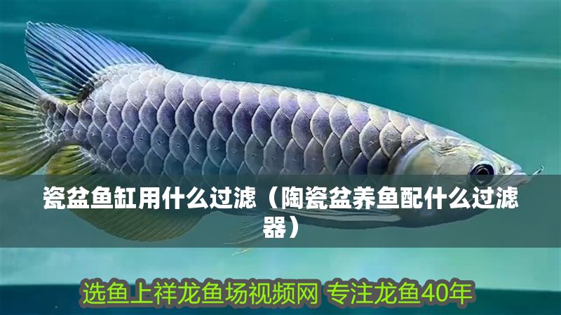 瓷盆魚缸用什么過濾（陶瓷盆養(yǎng)魚配什么過濾器） 瓷盆魚缸用什么過濾（陶瓷盆養(yǎng)魚配什么過濾器） 魚缸百科 第1張