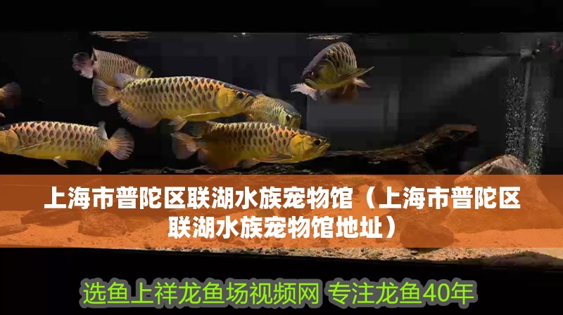 上海市普陀區(qū)聯(lián)湖水族寵物館（上海市普陀區(qū)聯(lián)湖水族寵物館地址）