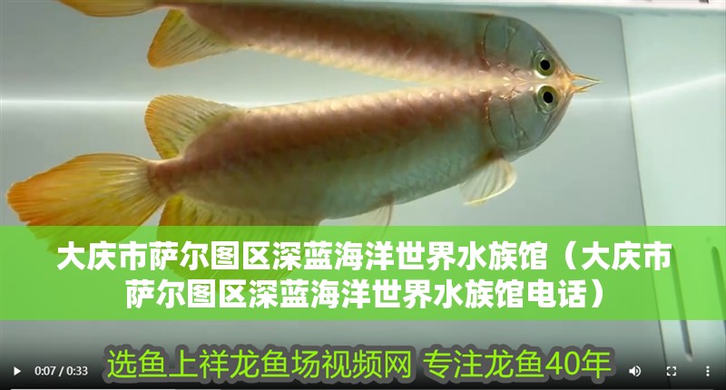 大慶市薩爾圖區(qū)深藍(lán)海洋世界水族館(大慶市薩爾圖區(qū)深藍(lán)海洋世界水族館電話) 全國水族館企業(yè)名錄 第1張 大慶市薩爾圖區(qū)深藍(lán)海洋世界水族館(大慶市薩爾圖區(qū)深藍(lán)海洋世界水族館電話) 大慶市薩爾圖區(qū)深藍(lán)海洋世界水族館(大慶市薩爾圖區(qū)深藍(lán)海洋世界水族館電話) 全國水族館企業(yè)名錄 第1張