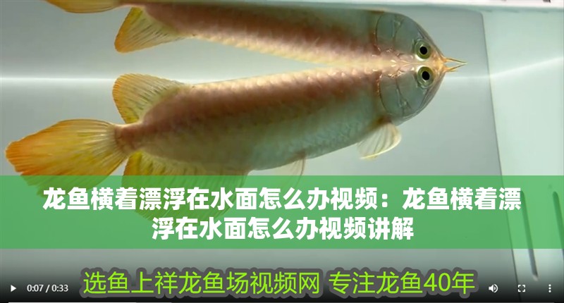 龍魚橫著漂浮在水面怎么辦視頻：龍魚橫著漂浮在水面怎么辦視頻講解