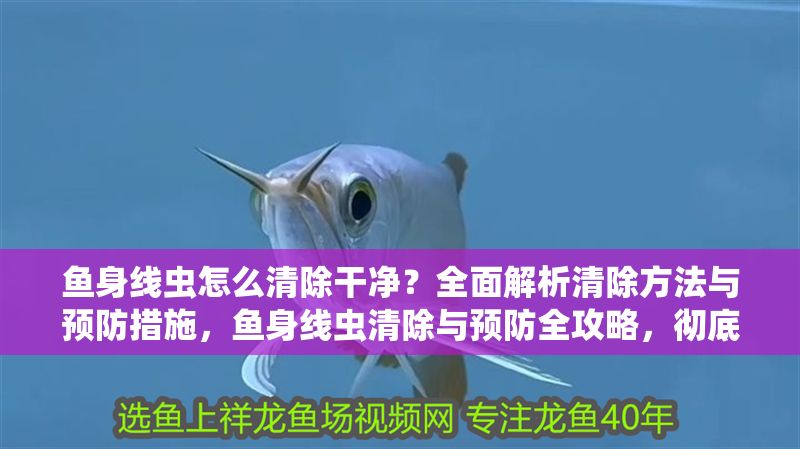 魚(yú)身線蟲(chóng)怎么清除干凈?全面解析清除方法與預(yù)防措施,魚(yú)身線蟲(chóng)清除與預(yù)防全攻略,徹底解決寄生蟲(chóng)問(wèn)題 龍魚(yú)常見(jiàn)疾病 第1張 魚(yú)身線蟲(chóng)怎么清除干凈?全面解析清除方法與預(yù)防措施,魚(yú)身線蟲(chóng)清除與預(yù)防全攻略,徹底解決寄生蟲(chóng)問(wèn)題 魚(yú)身線蟲(chóng)怎么清除干凈?全面解析清除方法與預(yù)防措施,魚(yú)身線蟲(chóng)清除與預(yù)防全攻略,徹底解決寄生蟲(chóng)問(wèn)題 龍魚(yú)常見(jiàn)疾病 第1張