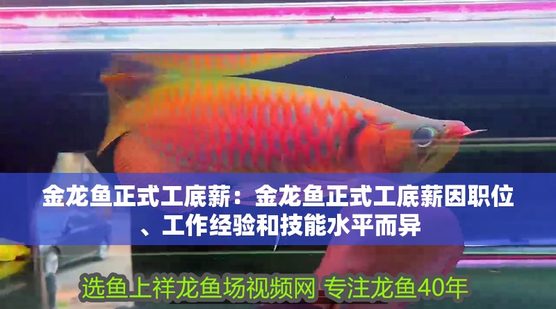 金龍魚正式工底薪：金龍魚正式工底薪因職位、工作經(jīng)驗(yàn)和技能水平而異