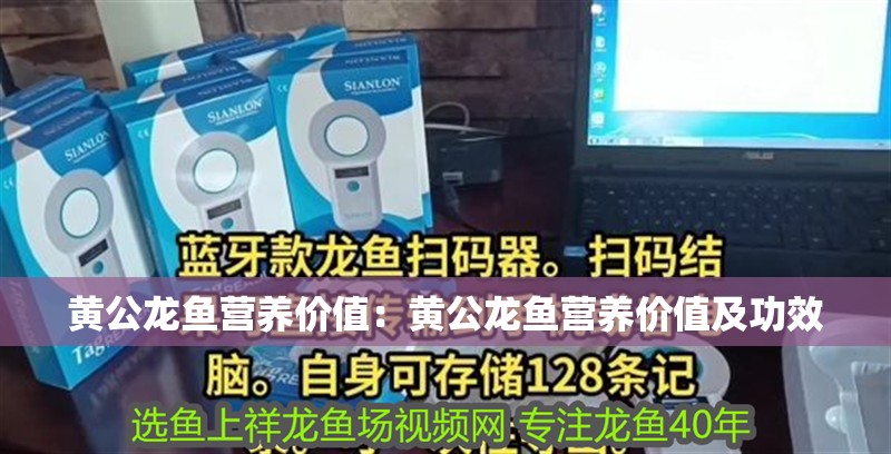 黃公龍魚營養價值：黃公龍魚營養價值及功效