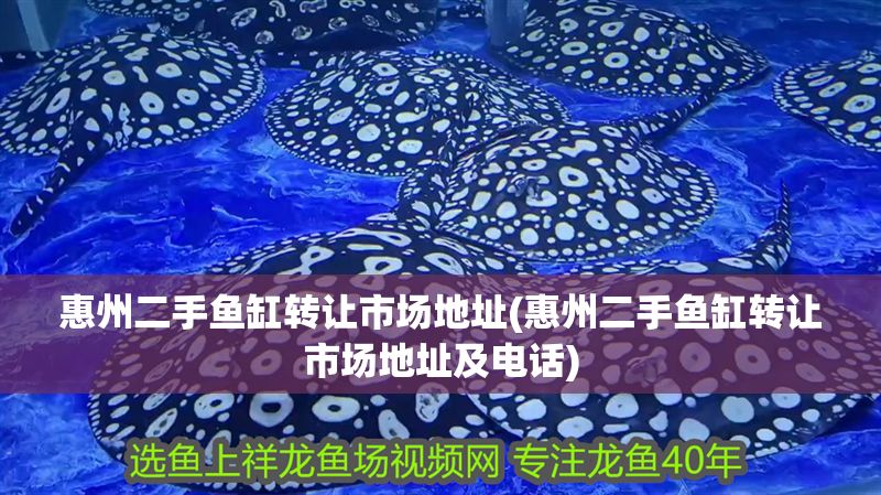 惠州二手魚缸轉讓市場地址(惠州二手魚缸轉讓市場地址及電話)