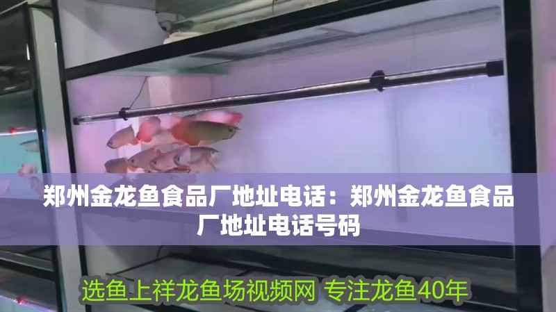 鄭州金龍魚食品廠地址電話：鄭州金龍魚食品廠地址電話號碼