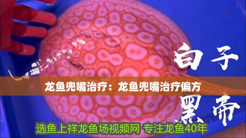 龍魚兜嘴治療：龍魚兜嘴治療偏方