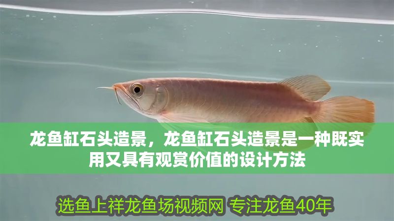 龍魚缸石頭造景，龍魚缸石頭造景是一種既實用又具有觀賞價值的設計方法