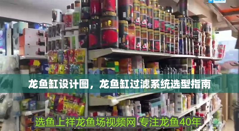 龍魚缸設(shè)計(jì)圖，龍魚缸過濾系統(tǒng)選型指南