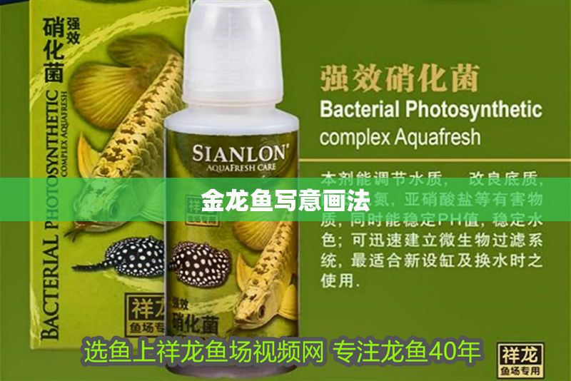 金龍魚寫意畫法