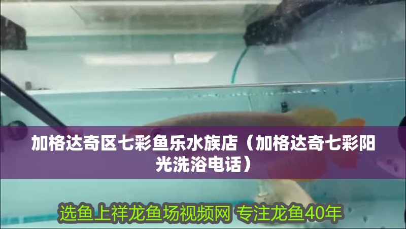 加格達奇區七彩魚樂水族店（加格達奇七彩陽光洗浴電話） 加格達奇區七彩魚樂水族店（加格達奇七彩陽光洗浴電話） 全國水族館企業名錄 第1張