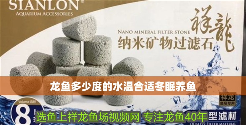 龍魚多少度的水溫合適冬眠養魚