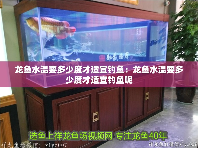 龍魚水溫要多少度才適宜釣魚：龍魚水溫要多少度才適宜釣魚呢
