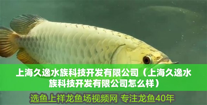 上海久逸水族科技開發(fā)有限公司（上海久逸水族科技開發(fā)有限公司怎么樣）