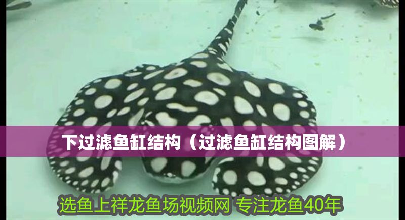 下過濾魚缸結構（過濾魚缸結構圖解）