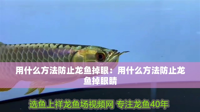 用什么方法防止龍魚掉眼：用什么方法防止龍魚掉眼睛