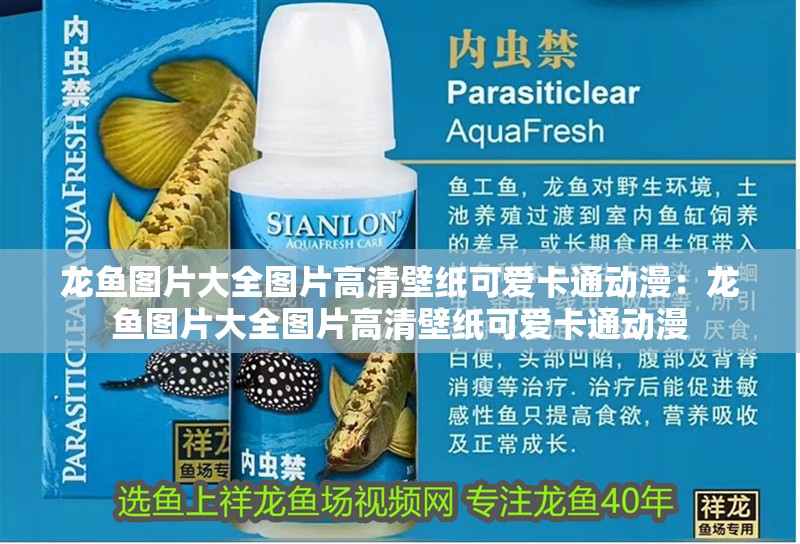 龍魚圖片大全圖片高清壁紙可愛卡通動漫：龍魚圖片大全圖片高清壁紙可愛卡通動漫