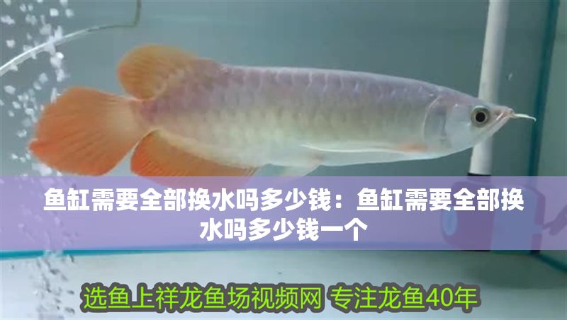魚缸需要全部換水嗎多少錢：魚缸需要全部換水嗎多少錢一個(gè)
