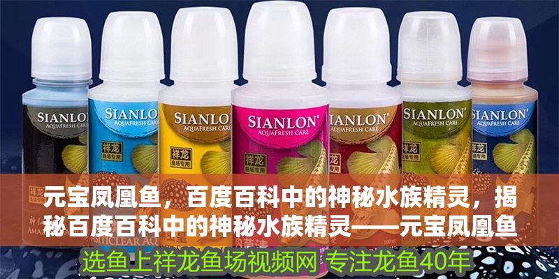 元寶鳳凰魚，百度百科中的神秘水族精靈，揭秘百度百科中的神秘水族精靈——元寶鳳凰魚