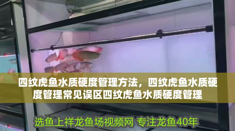 四紋虎魚水質硬度管理方法，四紋虎魚水質硬度管理常見誤區四紋虎魚水質硬度管理
