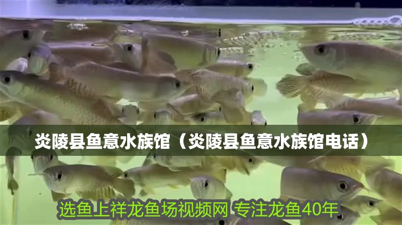 炎陵縣魚意水族館（炎陵縣魚意水族館電話）