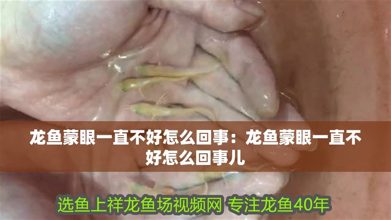 龍魚蒙眼一直不好怎么回事：龍魚蒙眼一直不好怎么回事兒 龍魚蒙眼一直不好怎么回事：龍魚蒙眼一直不好怎么回事兒 水族問答