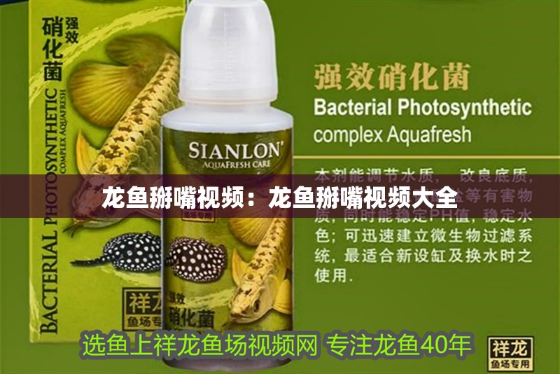 龍魚掰嘴視頻：龍魚掰嘴視頻大全