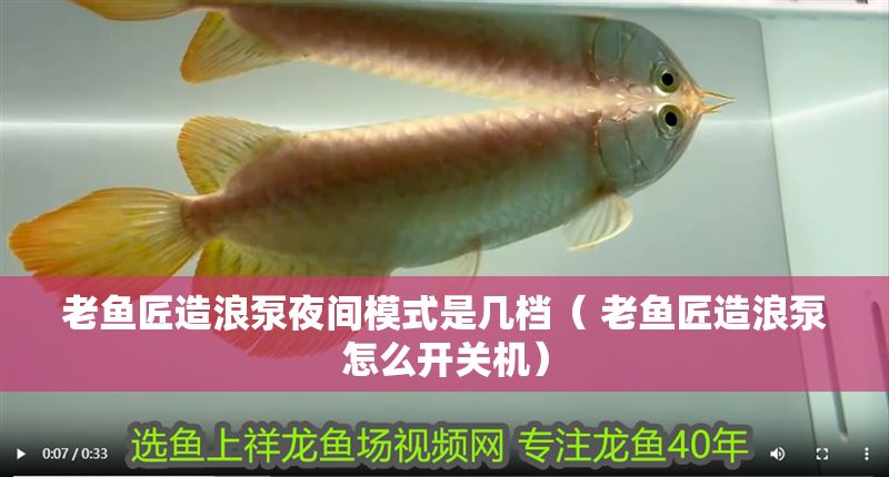 老魚匠造浪泵夜間模式是幾檔（ 老魚匠造浪泵怎么開關機）