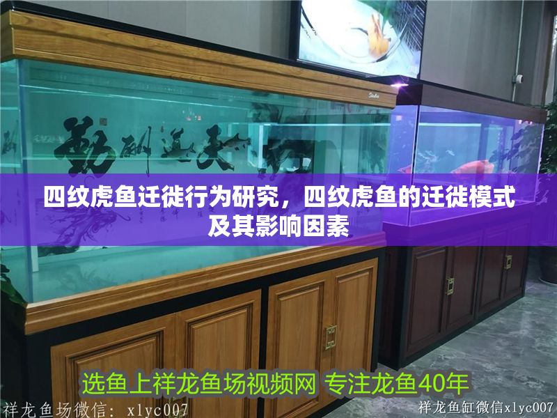 四紋虎魚遷徙行為研究，四紋虎魚的遷徙模式及其影響因素