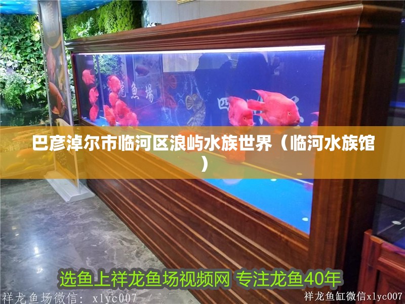 巴彥淖爾市臨河區(qū)浪嶼水族世界（臨河水族館）