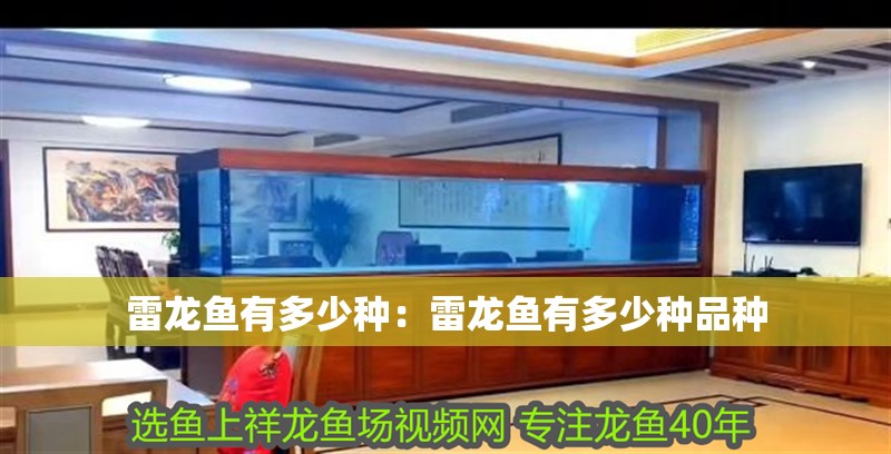 雷龍魚有多少種：雷龍魚有多少種品種 雷龍魚有多少種：雷龍魚有多少種品種 水族問答